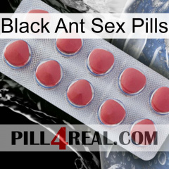 Black Ant Sex Pills 18